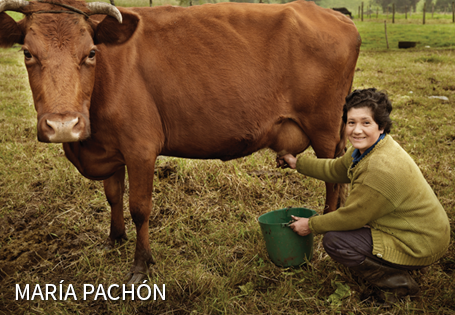 María Pachón