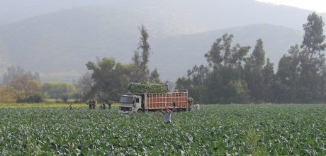 Fotografía recurso campo América Latina, FMBBVA