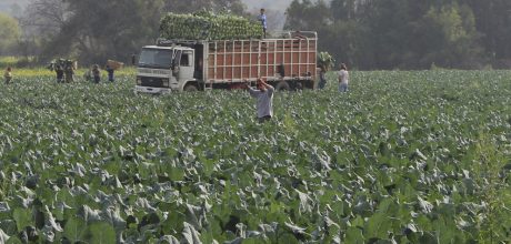 Fotografía Recurso america latina fmbbva