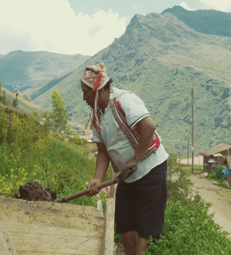 Quintin de Perú