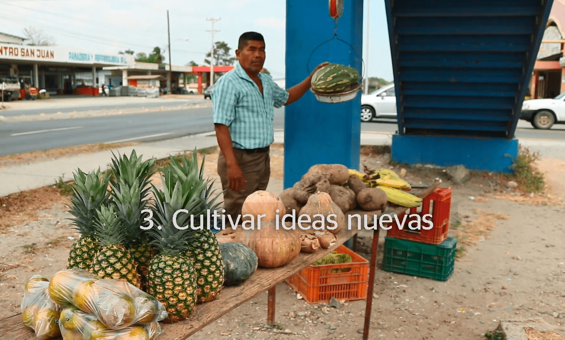 Con la idea de tener otra fuente de ingresos, al emprendedor se le ocurrió vender verduras y frutas frescas. Para esto, tuvo que aprender a cultivar yuca, calabaza, mango, guava y guineo, entre otros.