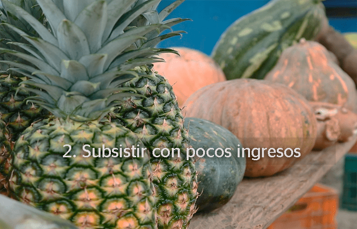 Cuando estaba empezando el negocio, los ingresos que generaba eran escasos y precarios. Como cabeza de familia, se aseguraba de poder cuidar a su mujer e hijos, trabajando como cosechador de frutas.