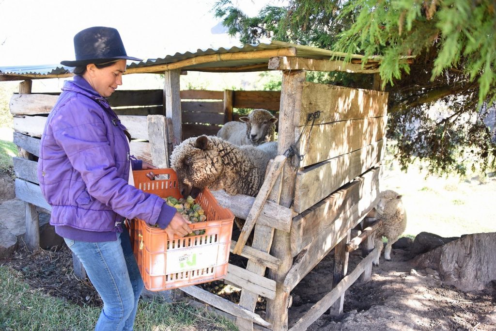 inclusión financiera mujer