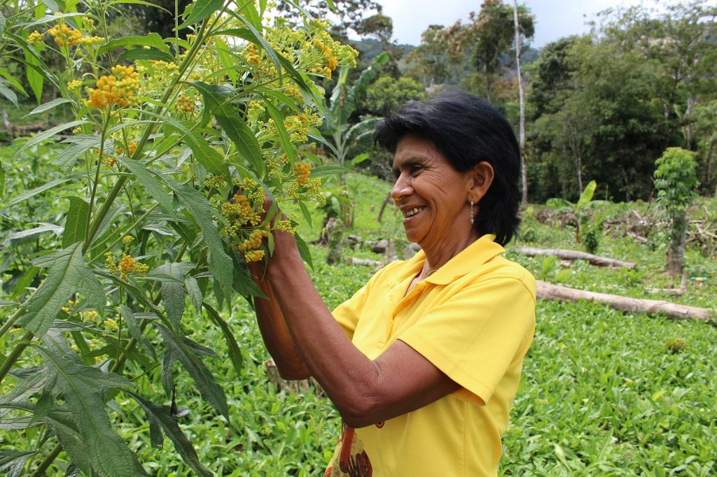 Gabriela Morán, agricultora panameña FMBBVA