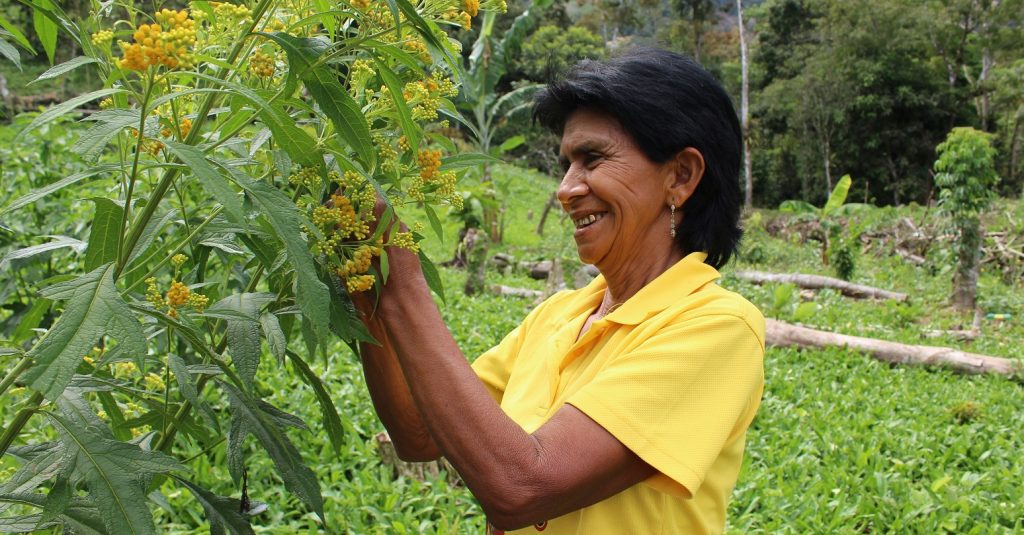 Agricultora panameña FMBBVA