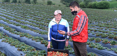 Ángela Zapata, agricultora colombiana FMBBVA, con su asesor