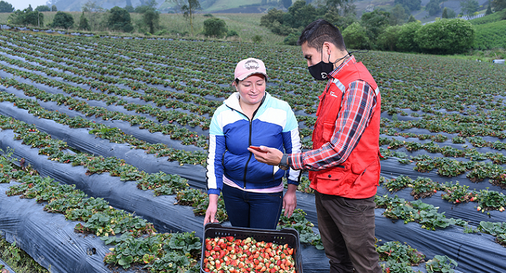 Ángela Zapata, agricultora colombiana FMBBVA, con su asesor