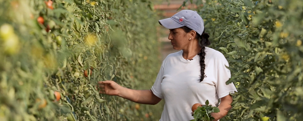 Agricultura colombiana FMBBVA