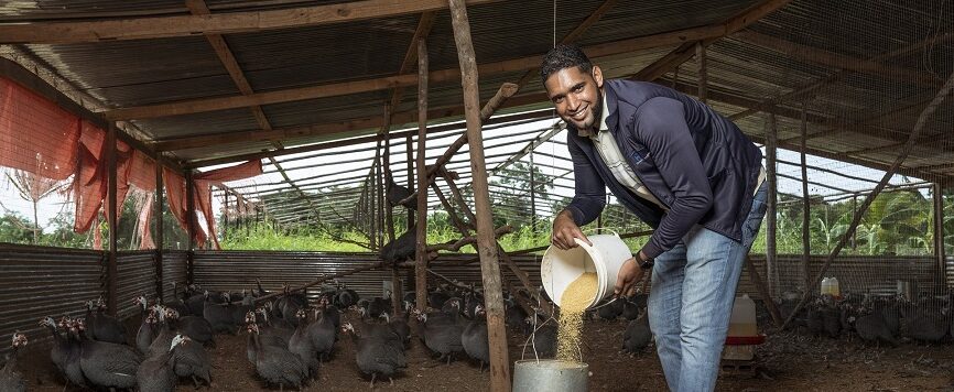 Emprendedor dominicano FMBBVA - negocio avicola