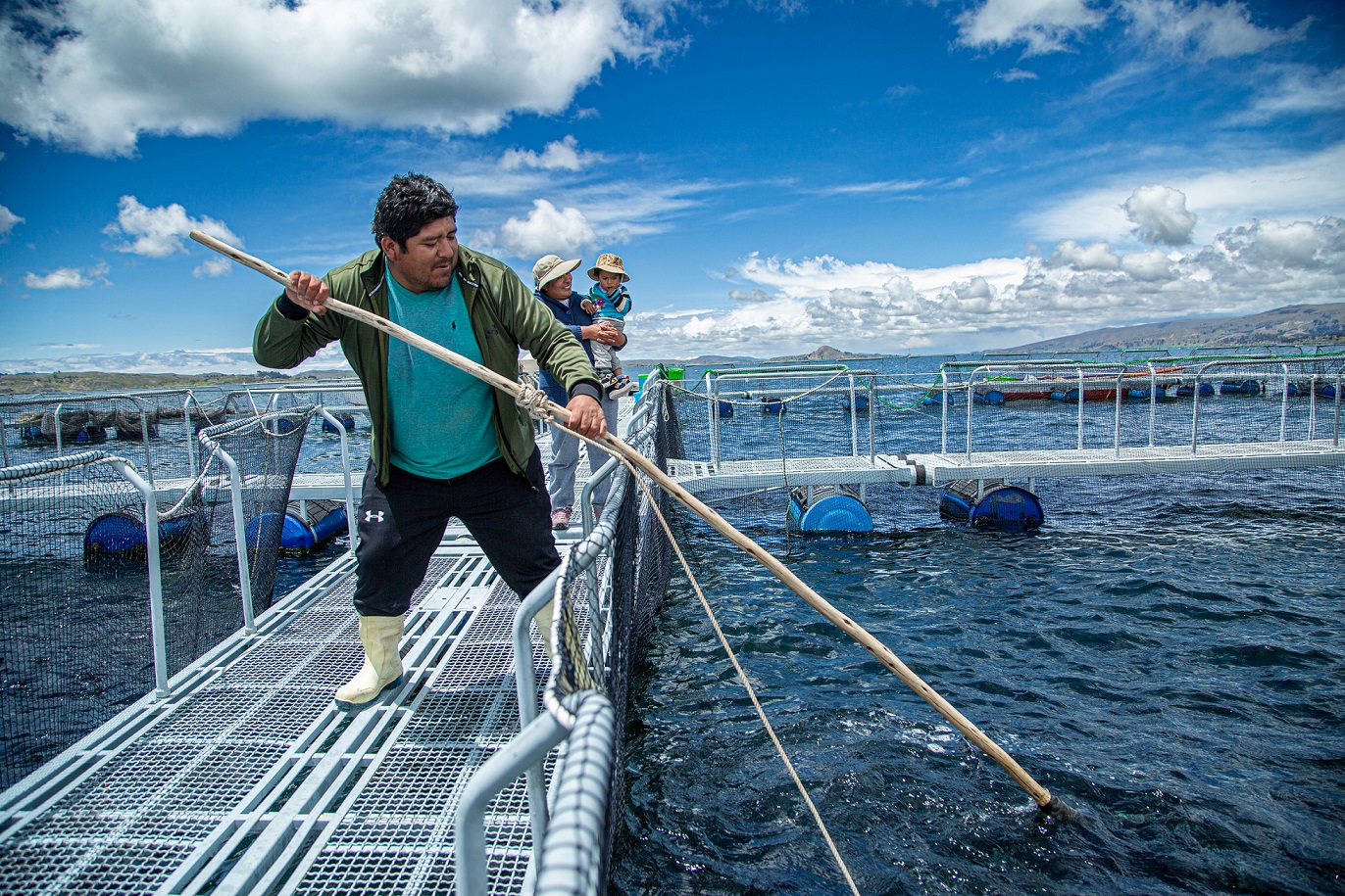 Juan Cruz Aruquipa, cría artesanal de truchas en el Lago Titicaca