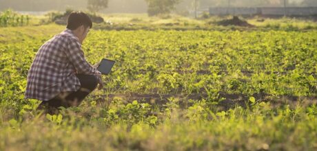 Agricultor con una tablet en un campo agrícola