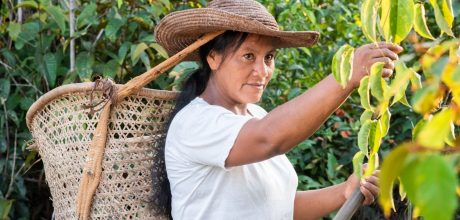 Emprendedora Amazonía colombiana (FMBBVA)